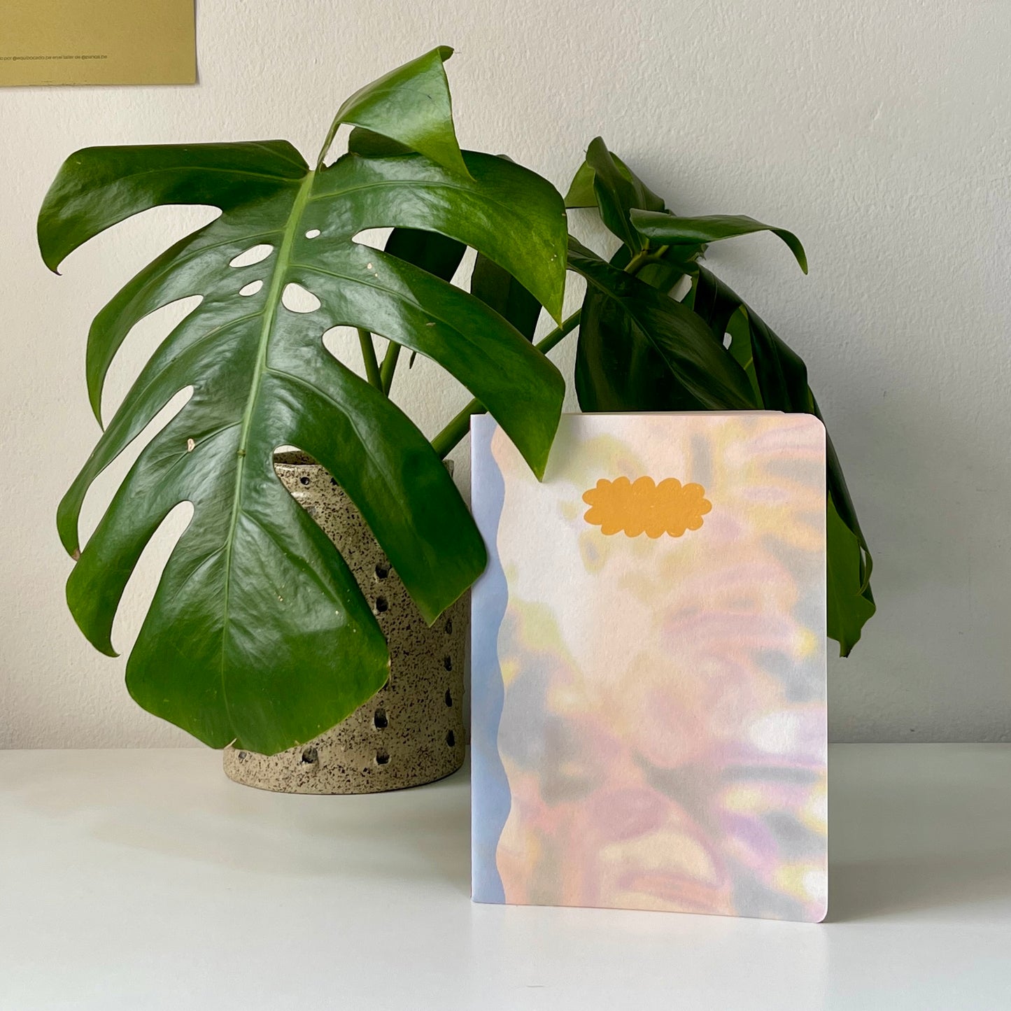 Bitácora A5 - Montstera Itinerante