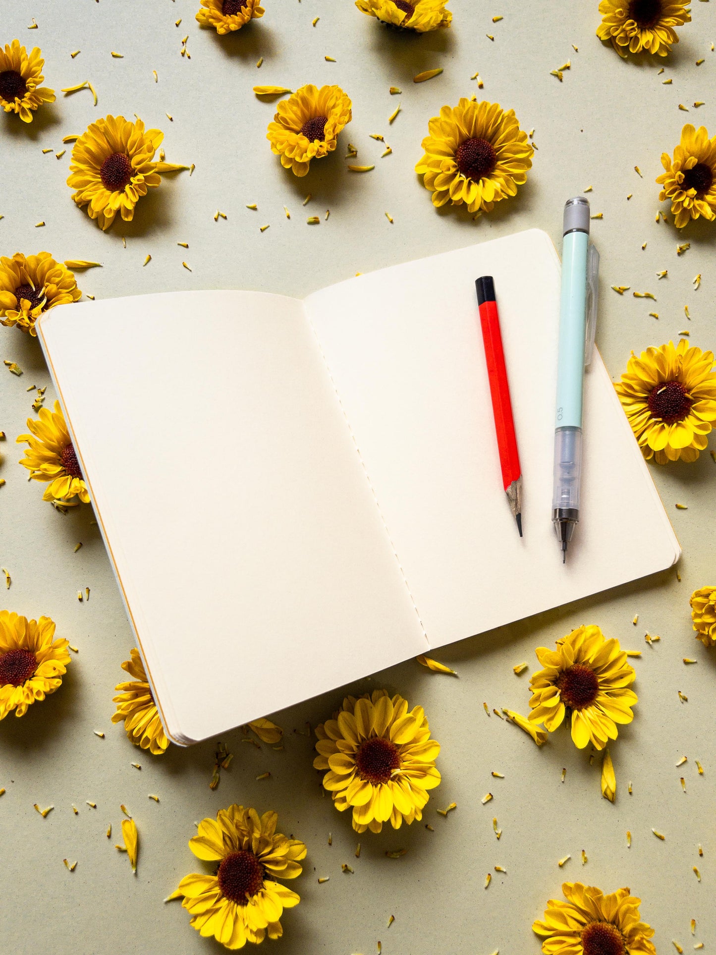 Colección Van Gogh x Panqa - A6